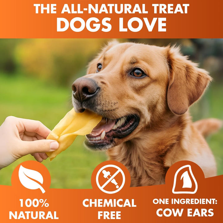 Cow Ears for Dogs – Whole Ears 30 Ct, Thick Cut, Grass-Fed Angus Beef, All-Natural No-Rawhide Dog Treat Alternative