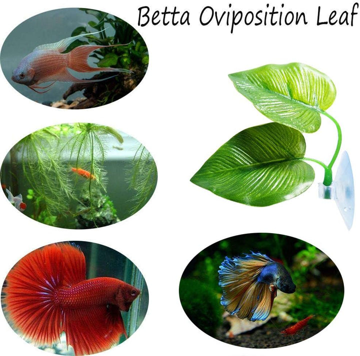2 Pack Betta Fish Leaf Pad Improves Betta'S Health by Simulating the Natural Habitat - Natural, Organic, Comfortable Rest Area for Fish Aquarium Ornaments