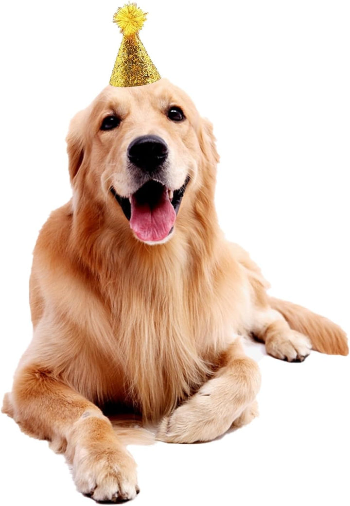 Dog Birthday Hat Set for Small Medium Dogs Cat Puppies, Mini Party Hat with Adjustable Headbands, Cute Pet Hat with Pompons for Birthday Christmas Party Decoration Accessories (Small 3 Inch 10Pcs)