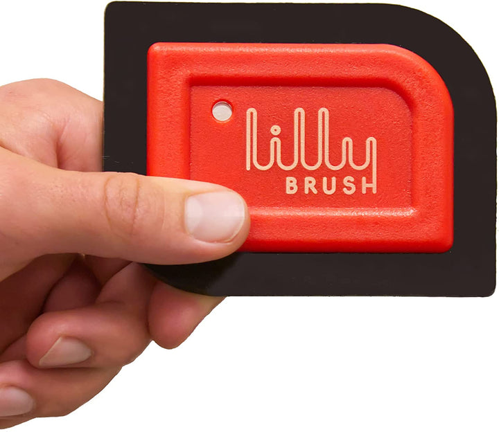 Mini Pet Hair Detailer | Reusable Fur Remover for Car Interior, Carpet, Couch & Furniture