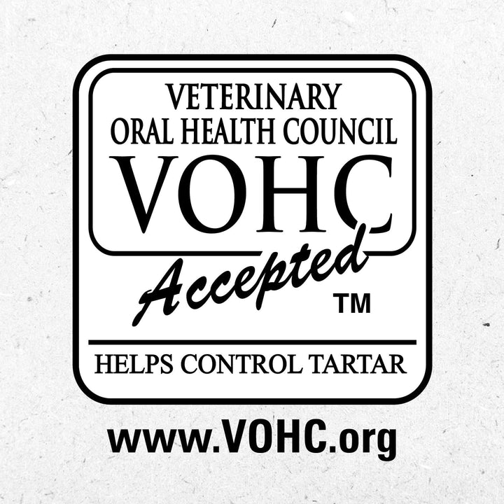 Feline Adult Dental Cat Treats, Savory Salmon Flavor, 9.75 Oz. Tub