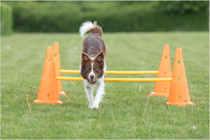 Dog Agility Hurdle Cone Set – Dog Agility Set with Height Adjustable Crossbar for Beginners & Advanced, Dog Agility Equipment for Dog Obstacle Courses – 6 X Cones, 3 X Agility Rods