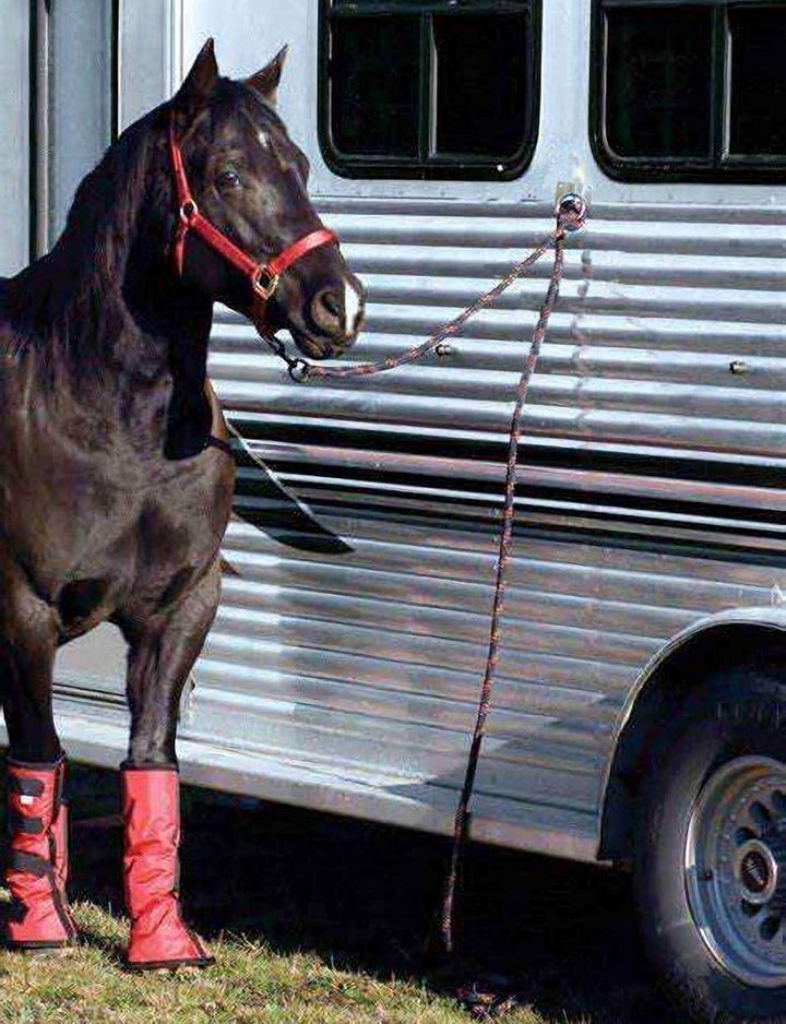 Cross Tie Ring for Horses, Block Tie Ring for Horse Stall/Stable, Tie down Horse Barn Supplies (2 Pack)