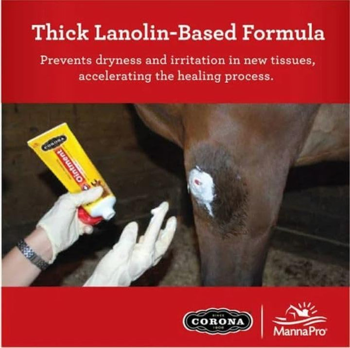 Corona Lanolin-Based Ointment for Horses, Soothes Skin Irritation, 7 Oz – Natural Relief for Equine Skin Care