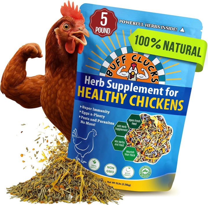 Herb Supplement for Backyard Chickens - Natural Chicken Treats, Poultry Feed Botanical Mix, Plant-Based Coop Snacks for Daily Wellness, Feather Quality, Egg Production, USA (12 Oz)