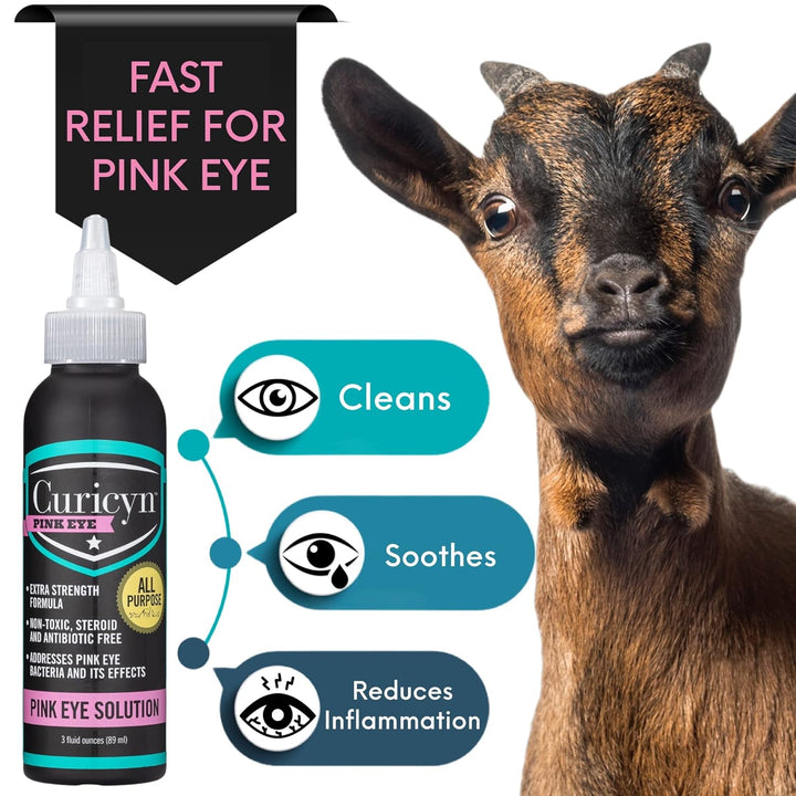 Pink Eye Solution (3 Oz), Dog Eye Drops, Conjunctivitis Eye Drops for Dogs, Cats, Livestock and Horses, Dog Eye Wash with Purified Anolyte, Safe and Soothing Dog Eye Drops for Infection