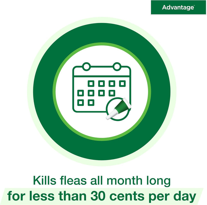 Topical Cat Flea Treatment and Prevention for Small Cats 2-9 Lbs. | Apply Flea Drops Monthly | 2 Treatments