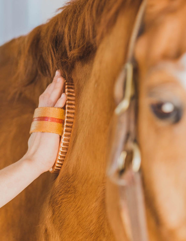 Oval Face Curry Comb Brush for Horse Grooming and Coat Care with Grip Handle