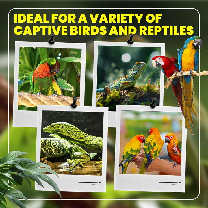 23W UVB Bulb for Bird, UVB 2.4 Compact Fluorescent Light Bulb E26 Birdcage Compact UVB 2.4 Lamp for Captive Birds and Reptiles