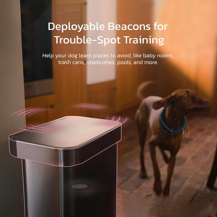 Dog Wireless Fences, Gray the Most Advanced GPS Dog Collar with AI Analysis, Precise Positioning, 5-Day Battery, and IP68 Waterproof, Flexible Virtual Fencing for Medium & Large Dogs