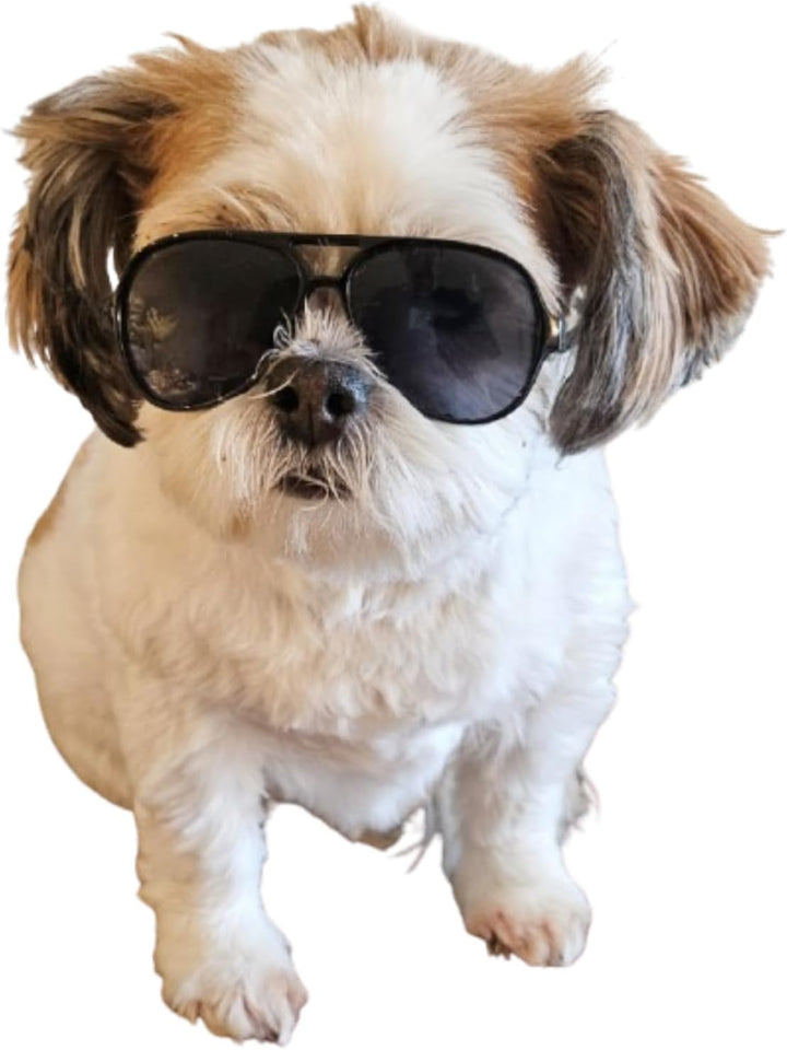 G029 Small Dog Breed up to 15Lbs Cat Pet Aviator Sunglasses Glasses (Black)