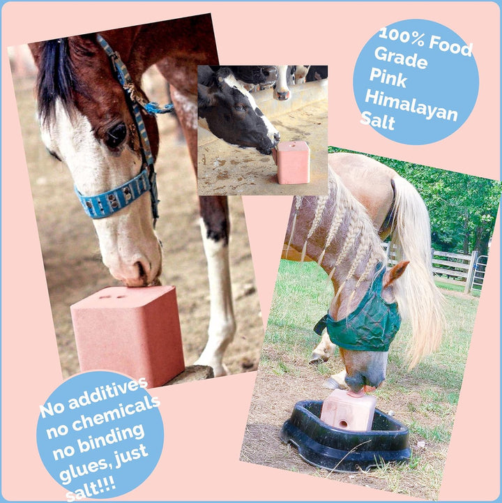 ® 11LB (5KG) Compressed Pink Himalayan Salt Lick | for Livestock and Wildlife Animals | 100% Pure & Natural Feed Salt Block | Natural Minerals and Trace Elements