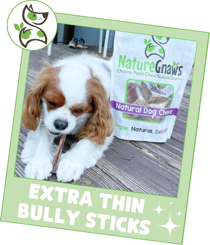 Extra Thin Bully Sticks for Small Dogs 5-6" (10 Count) - Long Lasting for Light Chewers and Puppies - Natural Beef Dog Chew Bones