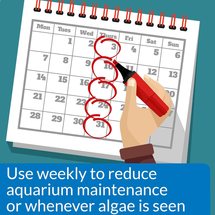 ALGAEFIX Algae Control 16-Ounce Bottle