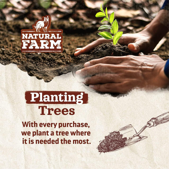 Pig Ears for Dogs (8-Count), One Ingredient: Natural Whole Pigs Ears, Air Dried, Long-Lasting & Highly Digestible Treats, Great for Puppy and Large/Medium Dogs