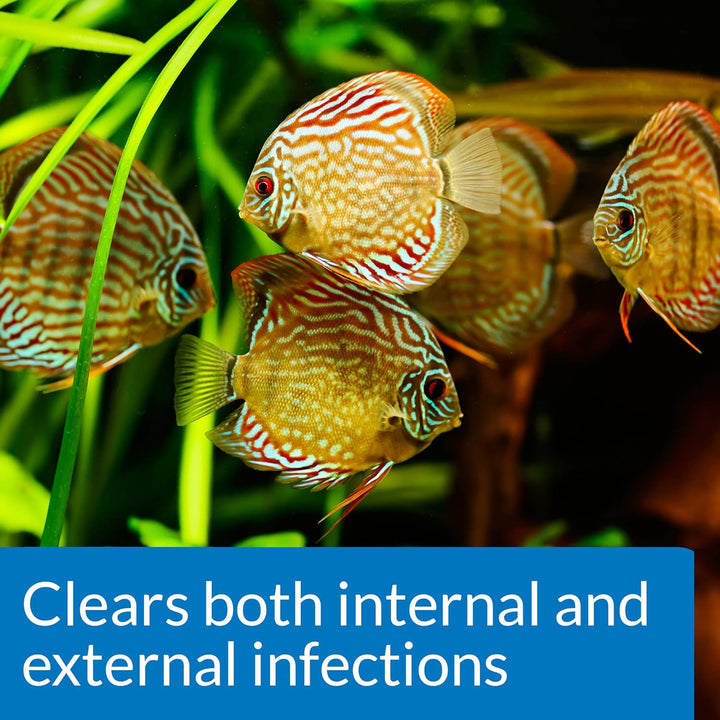 FIN & BODY CURE Freshwater Fish Powder Medication 10-Count Box