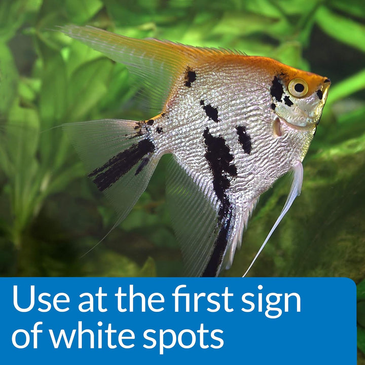 LIQUID SUPER ICK CURE Fish Remedy, Freshwater and Saltwater Fish Medication 4 Fl Oz(Pack of 1), White