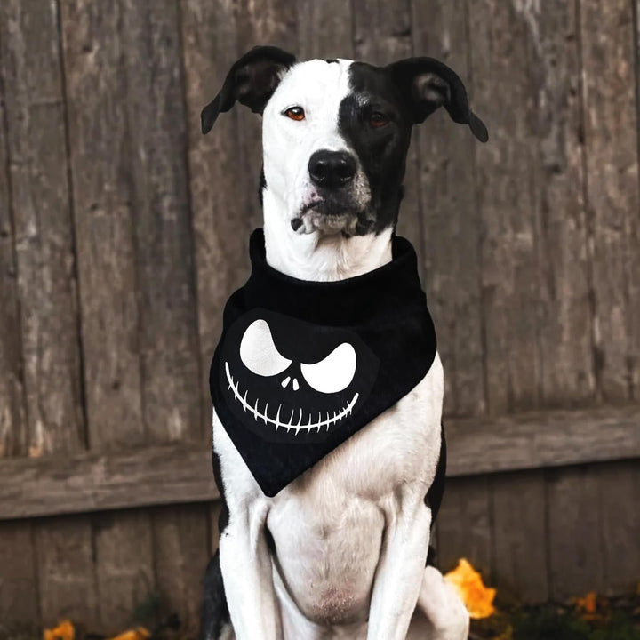 Halloween Dog Bandanas 2 Pack, Zero Dog and Jack Face Print Bibs for Boy and Girl, Nightmare before Christmas Triangle Fall Pet Scarf, Premium Durable Fabric, Adjustable Fit (Halloween-1, Large)