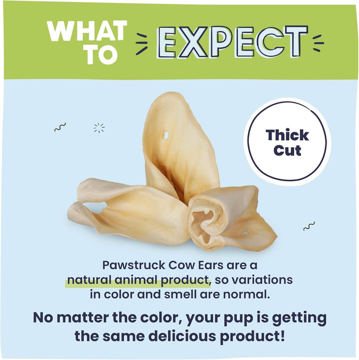 Natural Jumbo Cow Ears for Dogs - Healthy Rawhide Free, Highly Digestible Low Calorie & Long Lasting Dental Chew Treat for Small, Medium, Large Chewers - Pack of 10 - Packaging May Vary