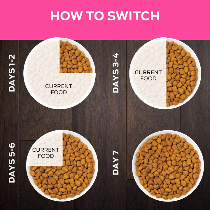 Purina  UR Urinary St/Ox Feline Formula Dry Cat Food - 6 Lb. Bag