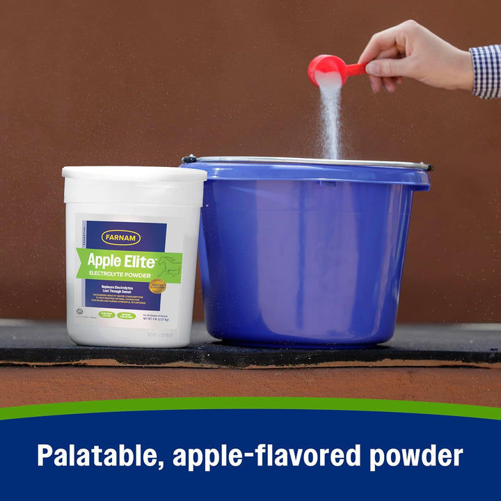 Apple Elite Electrolyte Powder Supplement for Horses, Replaces Vital Minerals, Encourages Hydration, No Added Sugar, 5 Pounds