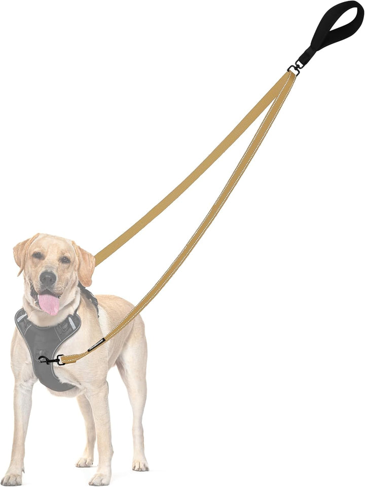 Two Point Control Dog Leash, Works with No Pull Harnesses, No Tangle Training Leashes, Soft Padded and Reflective Walking Lead, Converts to Single Lead for Medium Large Dogs (Black)