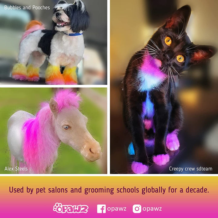 Semi-Permanent Dog Hair Dye, Food-Grade Pigment Dog Dye, Non-Toxic Pet Hair Dye for Dogs, Cats and All Pets Can Be Bathed (Pumpkin Orange)