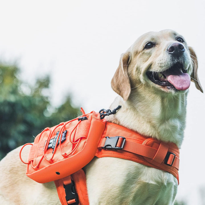 Dog Backpack for Medium & Large Dogs, Mammoth Nylon Dog Pack Tactical Backpack Harness with Side Pockets for Hiking Walking Training Running