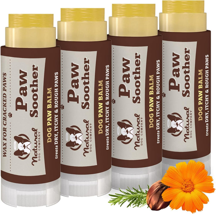 Pawtection Balm 2 Oz Stick – Dog Paw Protection Wax with Shea Butter & Calendula – Shields Paws from Snow, Ice, Salt, Hot Pavement & Rough Terrain – Lick-Safe, Vegan