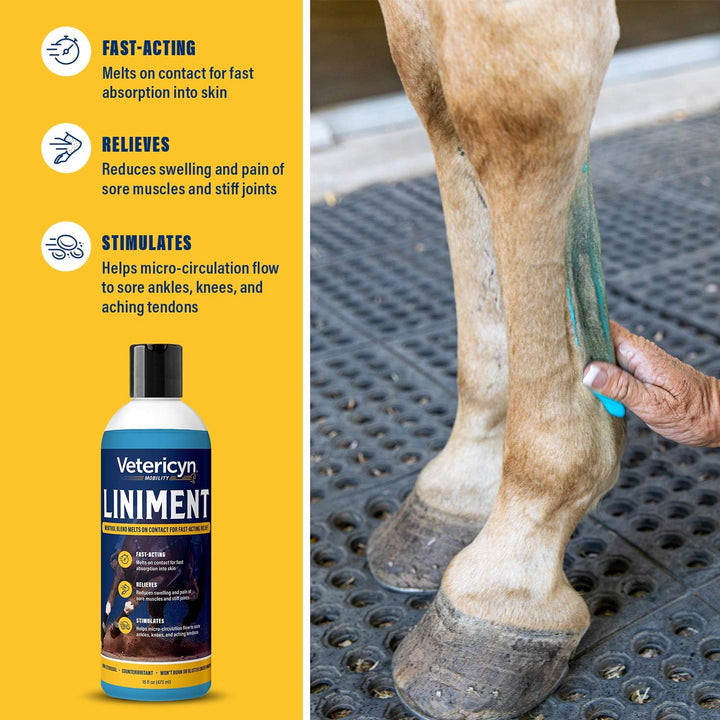 Mobility Equine Liniment for Fast-Acting Relief of Muscles and Joints – Menthol-Based Topical Analgesic for Horses – 16 Ounces