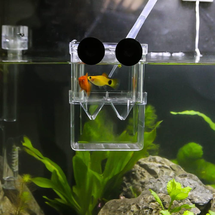 Aquarium Fish Breeder Box Plastic Fish Isolation Breeding Box Hatching Incubator Box for Baby Fishes Shrimp Clownfish Guppy