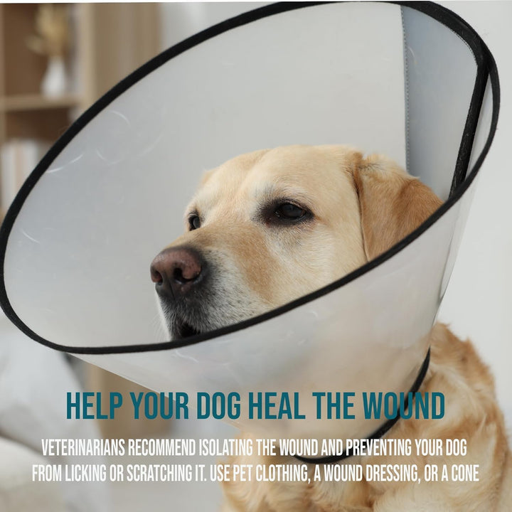 Blue Butter – Hot Spot Treatment for Dogs | Dog Wound Care | Skin Yeast Infections, Ringworm, Cuts, Rashes, First Aid Veterinary Strength Topical Ointment 4Oz