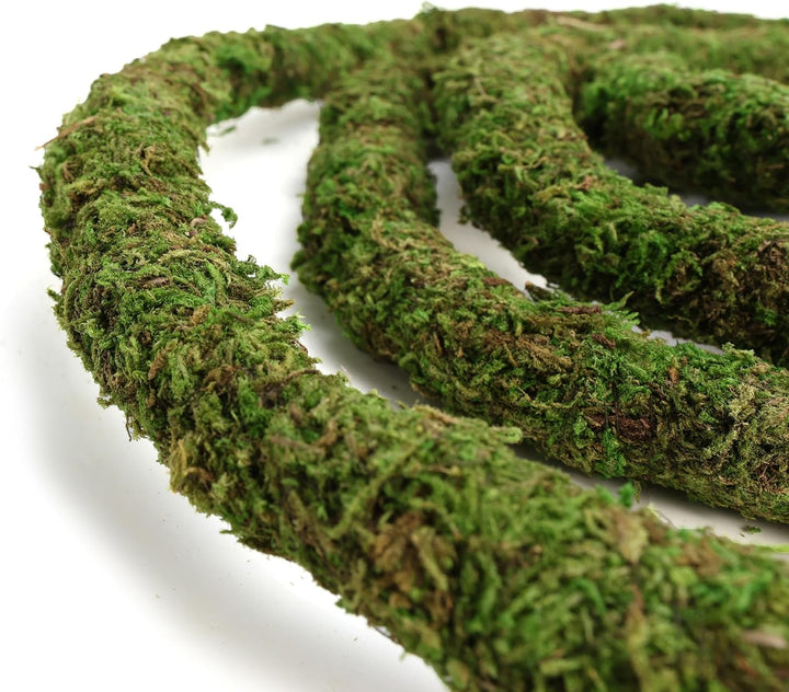 Moss Vine for Reptiles, Bendable Climbing Vines Reptile Tank Accessories, Natural Moss Rope for Leopard Gecko, Lizard, Snake, Chameleon, Frog Terrarium Decor (Jungle Green, 6.5 FT)