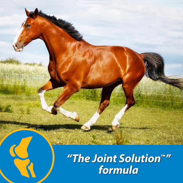 Fluidflex Liquid Joint Supplement for Horses, Helps Maintain Healthy Hip & Joint Function, 32 Ounces 32 Day Supply