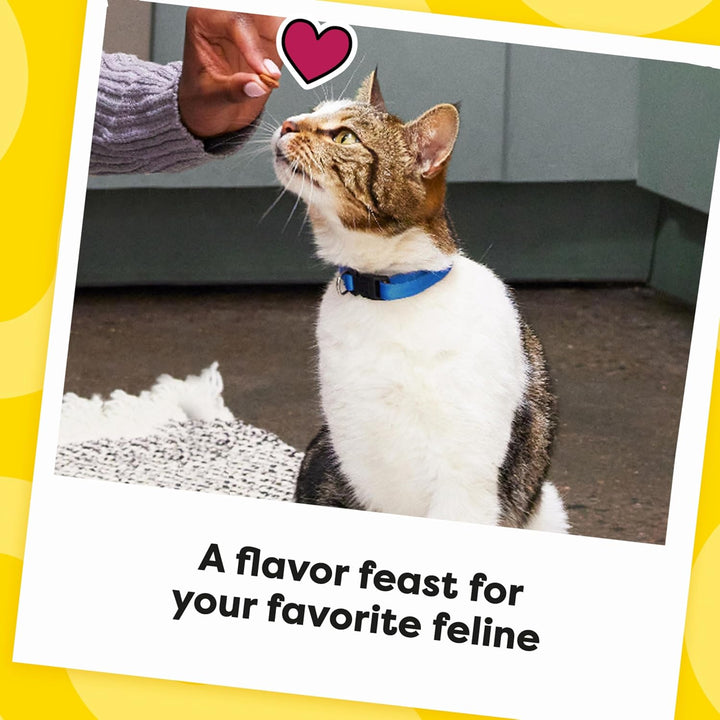 Mixups Catnip Fever Flavor Crunchy and Soft Cat Treats, 30 Oz. Tub