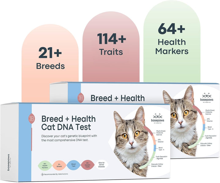 Dog DNA Testing Kit - 300+ Breeds, 280+ Health Risks, and 30+ Traits - Comprehensive Mixed Breed Identification, Pet DNA Test Kit, Canine Genetic Ancestry and Heritage