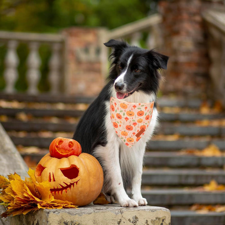 Halloween Dog Bandana, Ghost Pumpkin Design Reversible Holiday Dog Scarf, Triangle Halloween Bandanas for Medium Large Dogs Pets (Large)