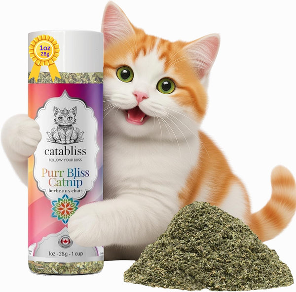 Catnip for Cats – 1Oz Jar - 100% Essential Natural Cat Nip Herb Resealable Jar - Fresh Aroma Stimulates Activity & Enhancing Play for Indoor Cats - Great for Cat Nip Toys, Play & Training