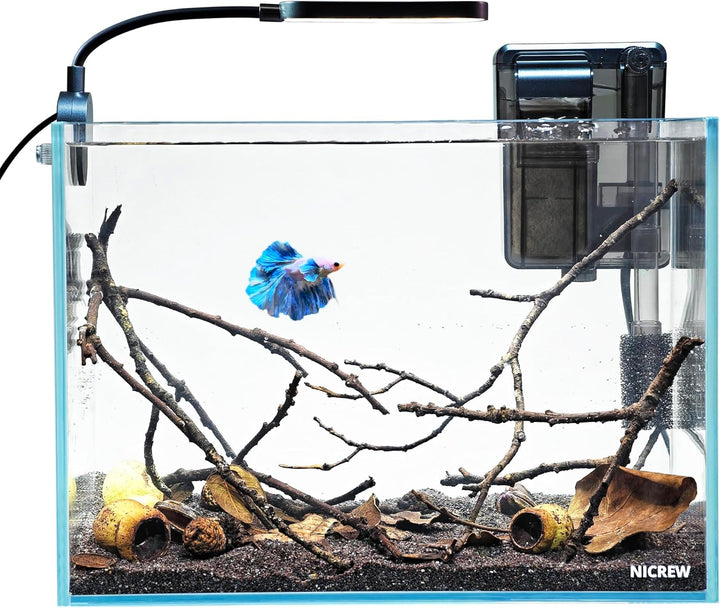 2.5 Gallon Nano Nature Aquarium Kit, Ultra-Clear Rimless Desktop Fish Tank with Light, Filter, Gravel and Rock, Perfect for Small Fish, Shrimp, or Betta, Complete Version, Black