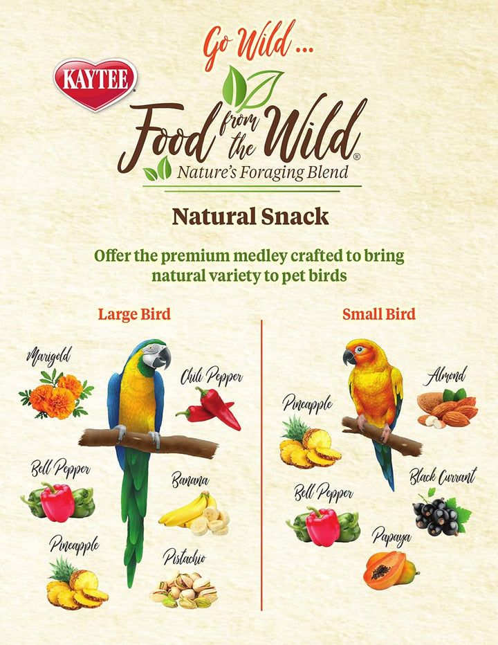 Food from the Wild Natural Snack Food Treats for Pet Birds, 3 Oz