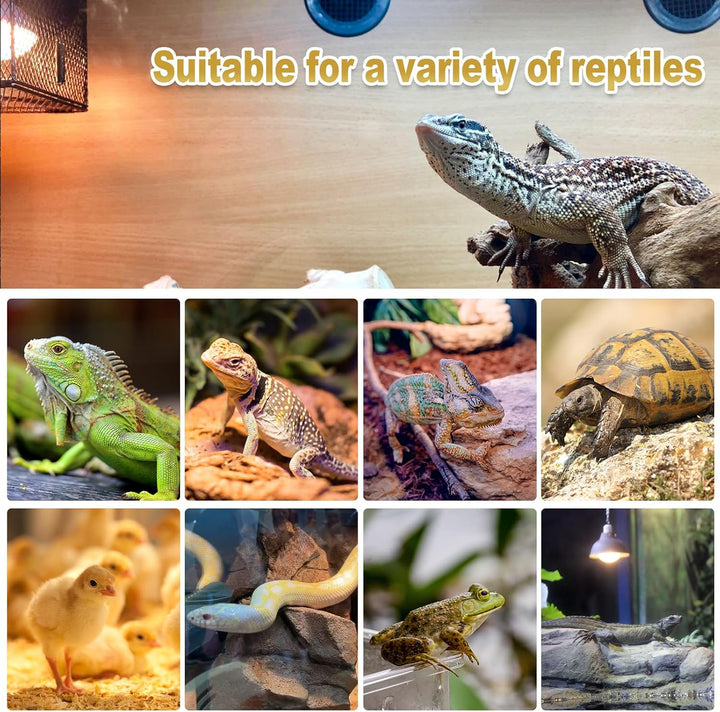 150W Reptile Heat Lamp Bulbs, 2Pack Heat Lamp Bulbs for Reptiles Basking Bulbs UVA Daylight Basking Light Amphibians Heating Lamp Emitter for Lizard, Tortoise, Bearded Dragon Gecko, Chicken