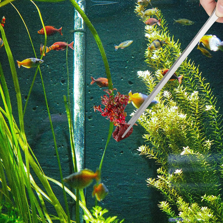 2PCS Long Aquarium Tweezers - 10.6" Straight and Curved Tweezers, Stainless Steel Reptile Feeding Tongs, Terrarium Aquascape Tools Feeder for Lizards, Bearded Dragon Snake Tank Accessories