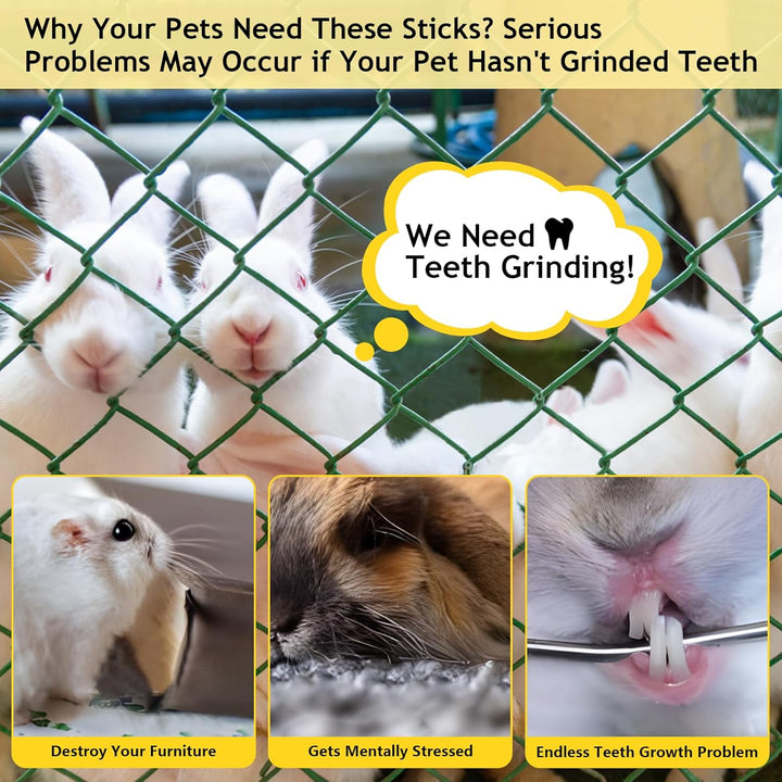 600G Organic Apple Sticks Small Animals Molar Wood Treats Toys for Chinchillas Guinea Pig Rabbits Hamster Gerbil Parrot Bunny Chew Stick Toys, 21.2 OZ