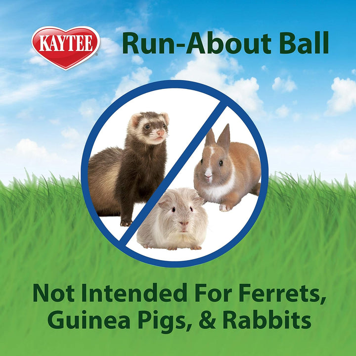 7" Clear Run-About Exercise Ball for Pet Hamsters & Gerbils