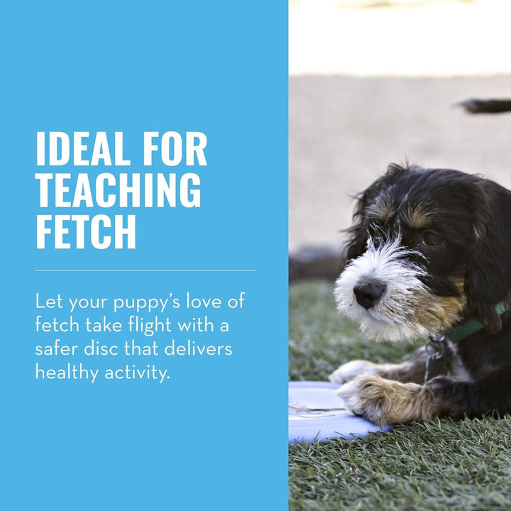 Puppy Flyer - Soft Rubber Flyer Dog Toy - Flying Disc Dog Toy for Puppies - Gentle Rubber Toy for Growing Puppies - for Small Puppies - Randomly Provided Color