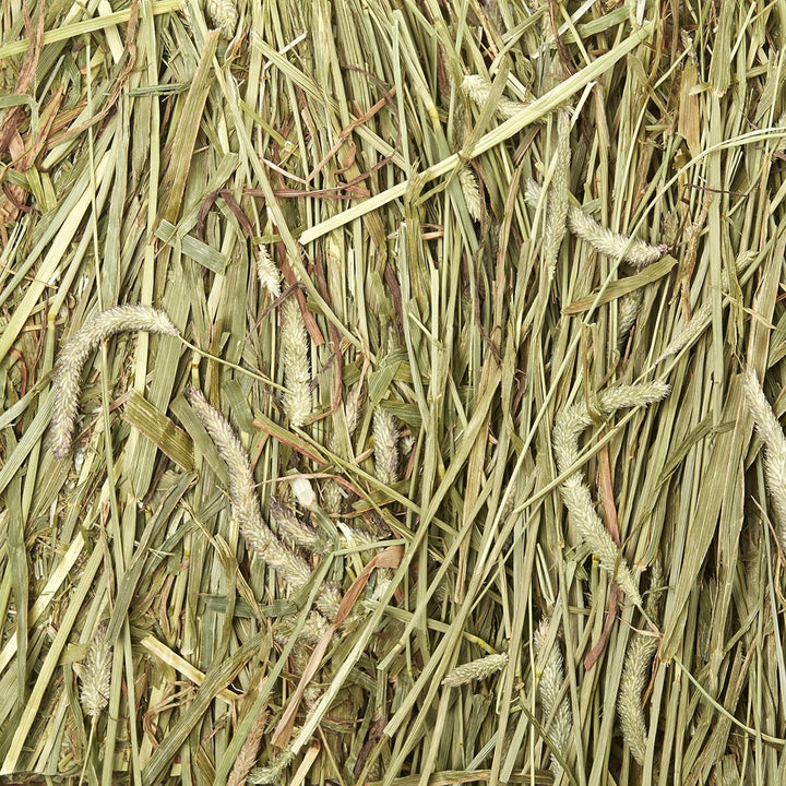 Wafer Cut All Natural Timothy Hay for Pet Guinea Pigs, Rabbits & Other Small Animals, 60 Ounce