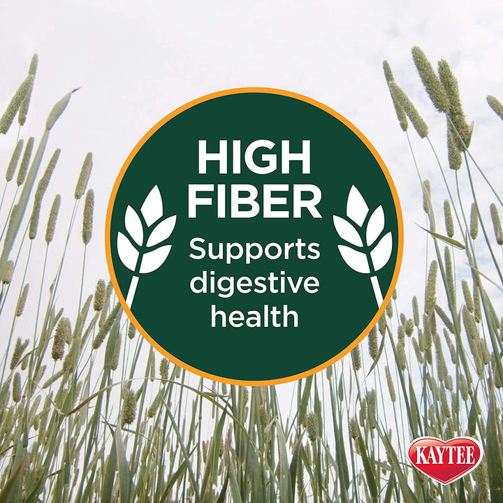 Wafer Cut All Natural Timothy Hay for Pet Guinea Pigs, Rabbits & Other Small Animals, 60 Ounce