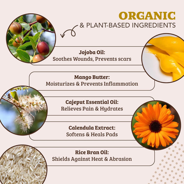 Pawtection Balm 2 Oz Stick – Dog Paw Protection Wax with Shea Butter & Calendula – Shields Paws from Snow, Ice, Salt, Hot Pavement & Rough Terrain – Lick-Safe, Vegan