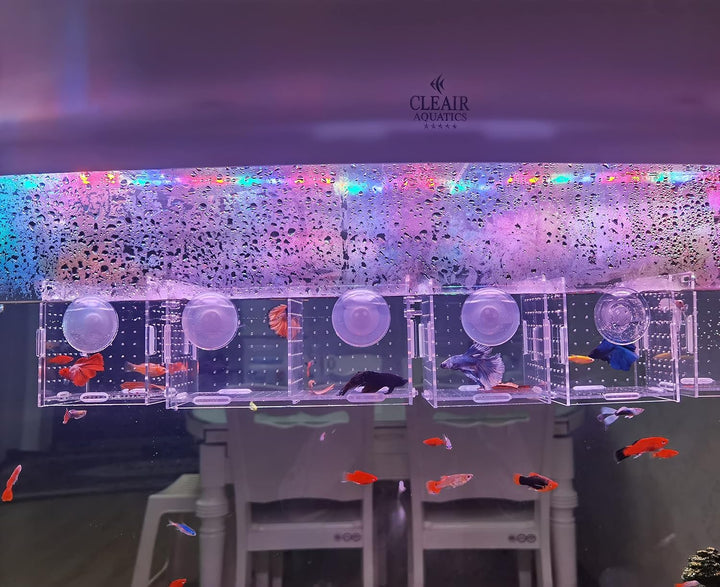 Acrylic Fish Breeding Box, Acrylic Fish Isolation Box, Fish Separator for Aquarium, Hatchery Incubator with Suction Cups for Small Baby Fishes Shrimp Clownfish Guppy (3.9 * 3.9 * 3.9Inch)