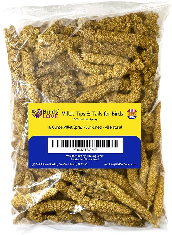 Millet Tips & Tails for Birds - Parakeets, Cockatiels, Lovebirds, Finches, Budgies, Canaries, Cockatoos - Natural & Healthy Millet for Birds - Parakeet Food & Treats for All Parrots, 1Lb